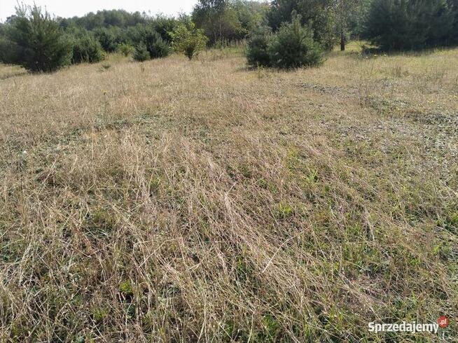 Działka 1050m gm. Aleksandrów Łódzki - Ciężków - 2