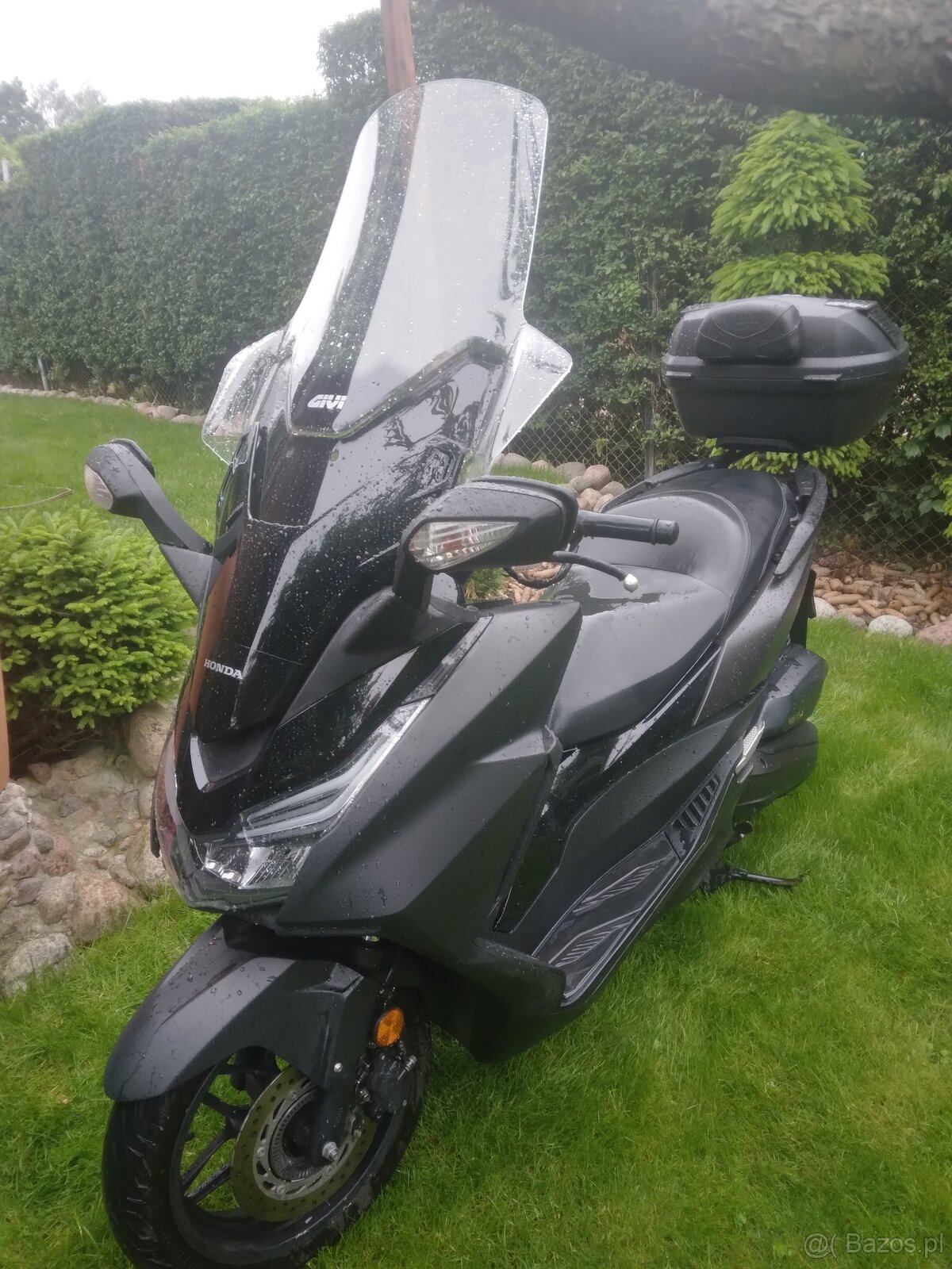 Honda forza 125 ładna - 2