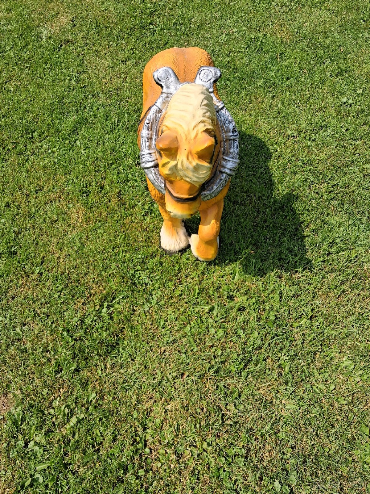 Sprzedam konika ogrodowego - 2