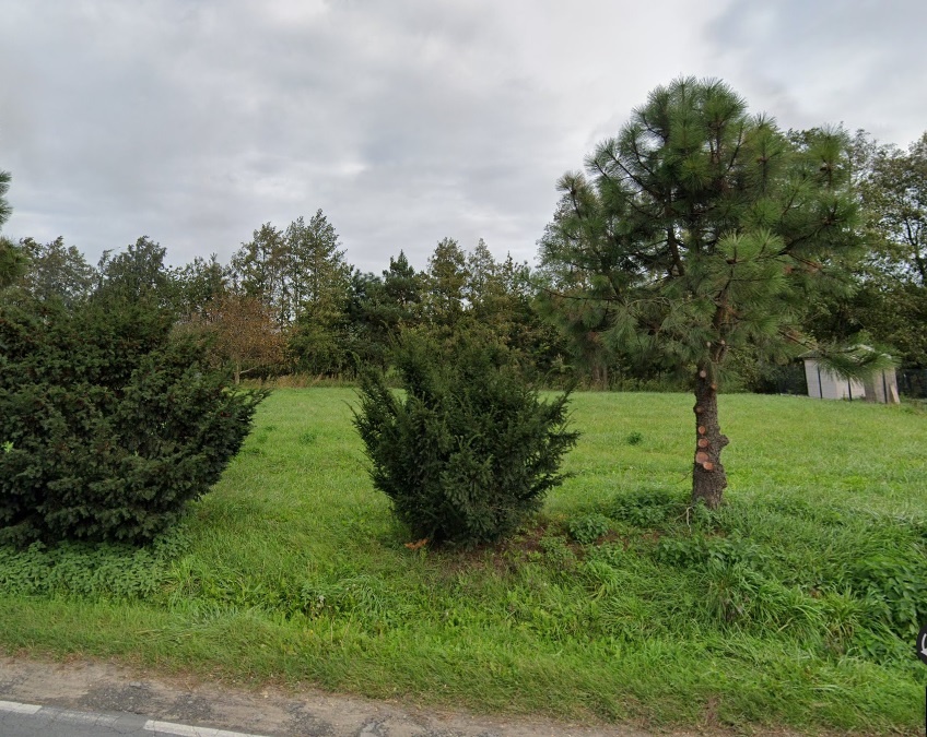 Działka budowlana o pow. 1450 m2, Skarszewek - 2