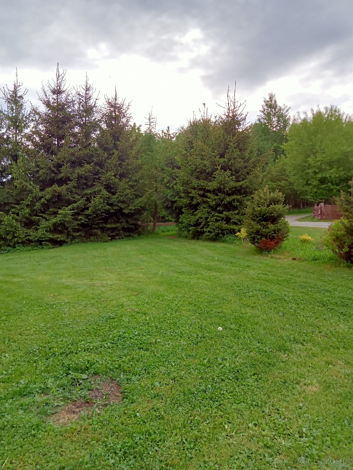 Sprzedam dzialke obok Polanicy-Zdroju-Sudety - 2