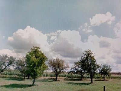 Działka budowlana pow. 5630m2, N. Skalmierzyce - 2