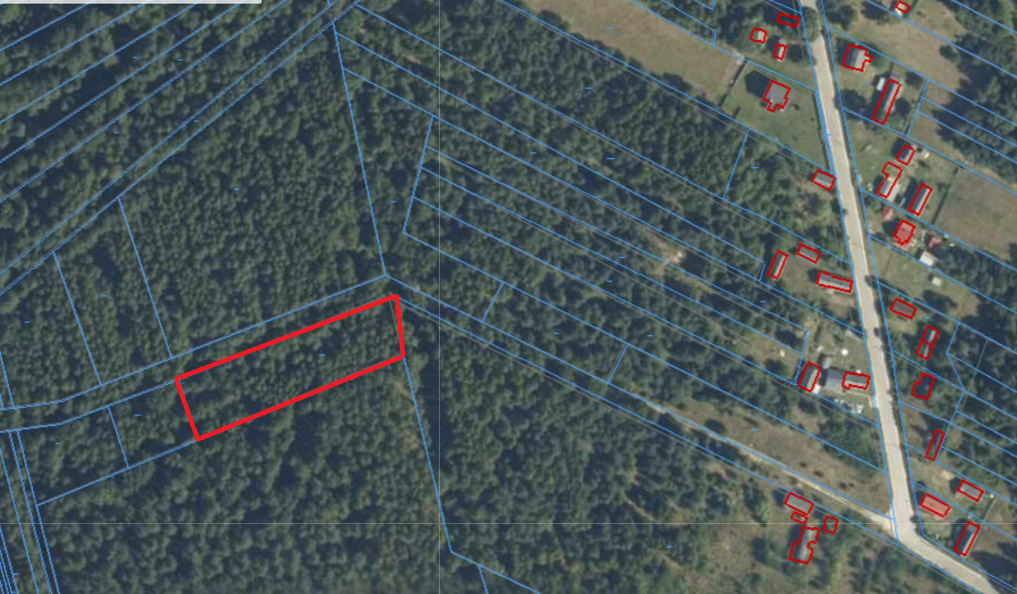 Sprzedam działkę – LAS, 0,31 ha, Kolonia Szczerbacka, woj. m - 2