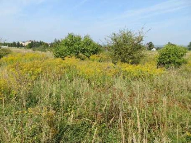 Syndyk sprzeda nieruchomość - 2