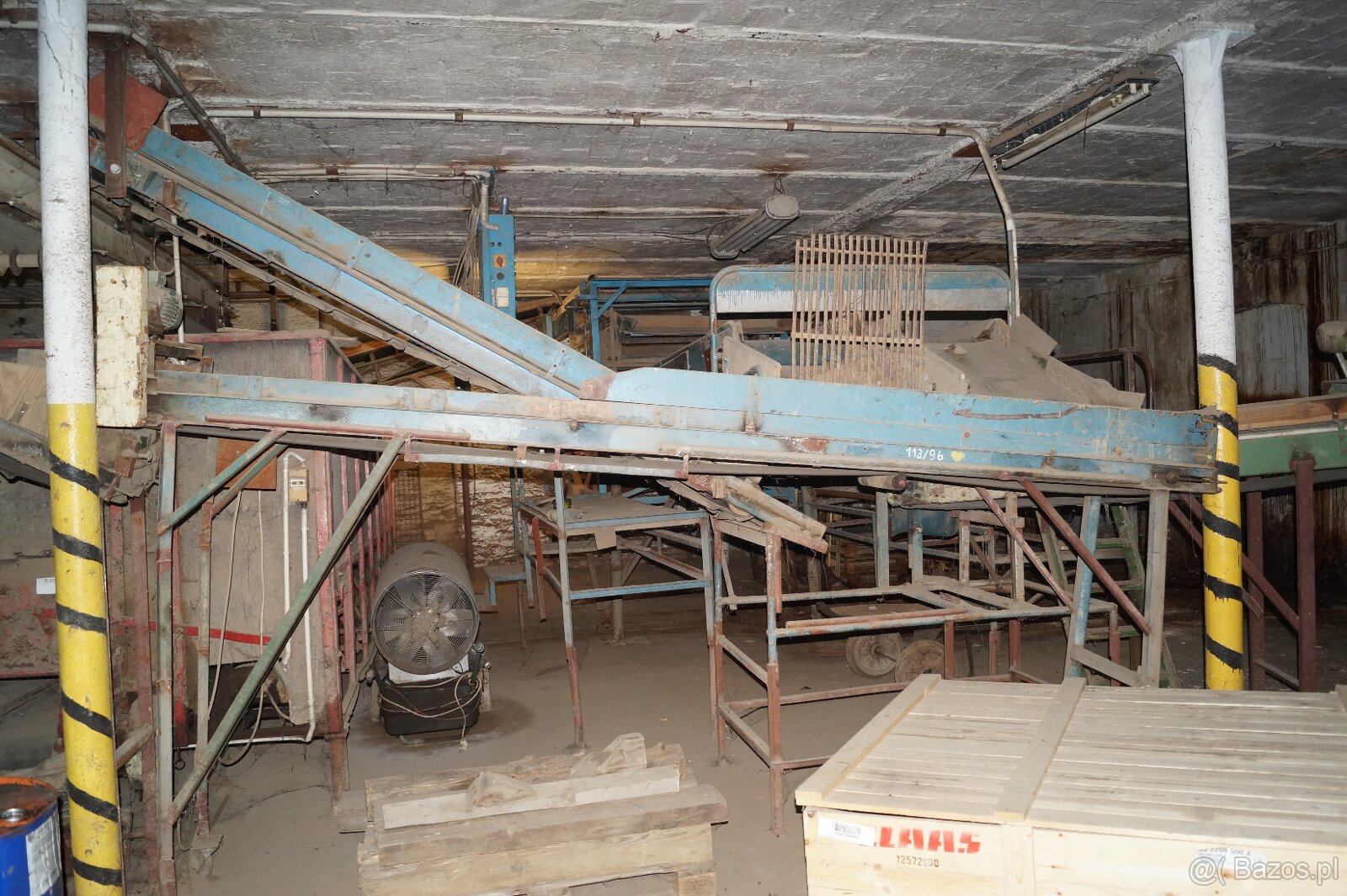 Linia do sortowania ziemniaków cebuli 10ton/h - 2