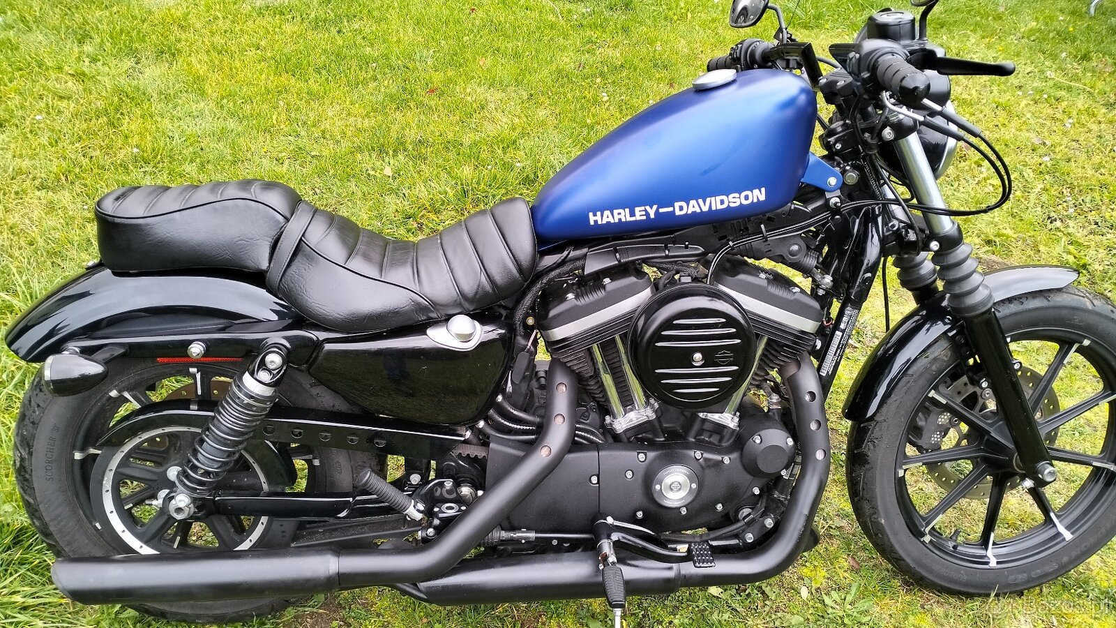 Sportster IRON Harley Davidson - 2