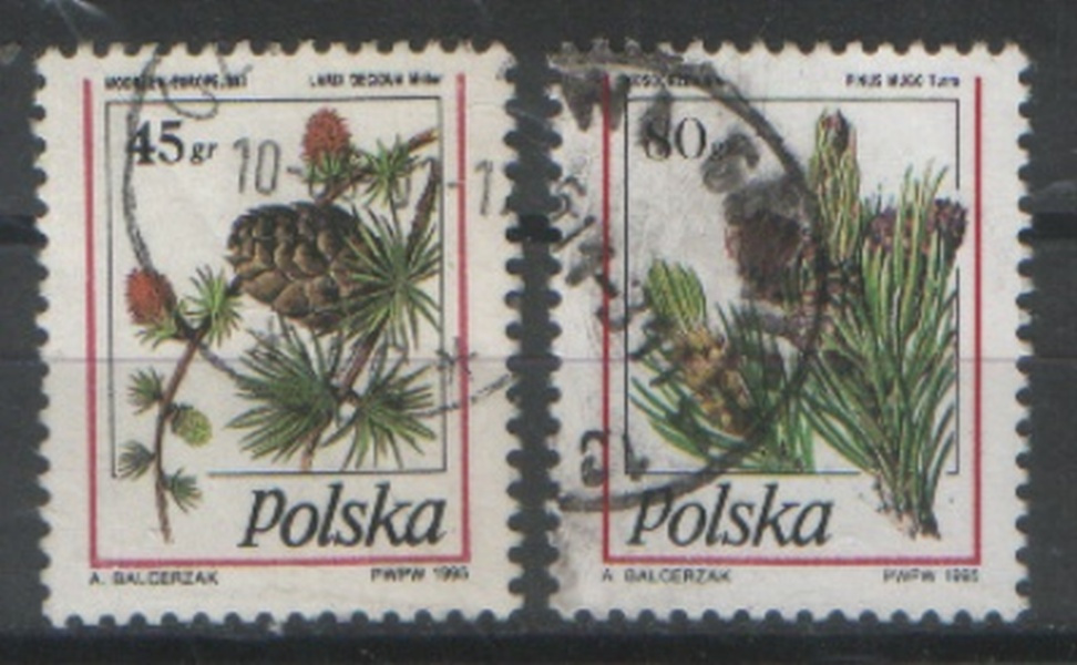 Zn. Fi 3371, 82, 3, 401, 2, 7 kas 1995 - 2