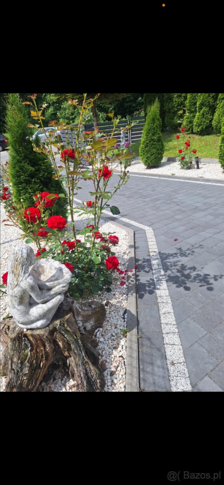 Wynajmę mieszkanie - 2