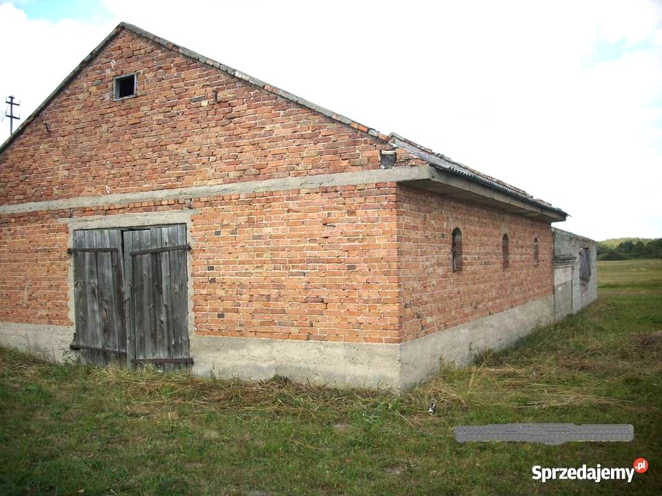 Sprzedam działkę siedliskową z zabudowaniami - 2