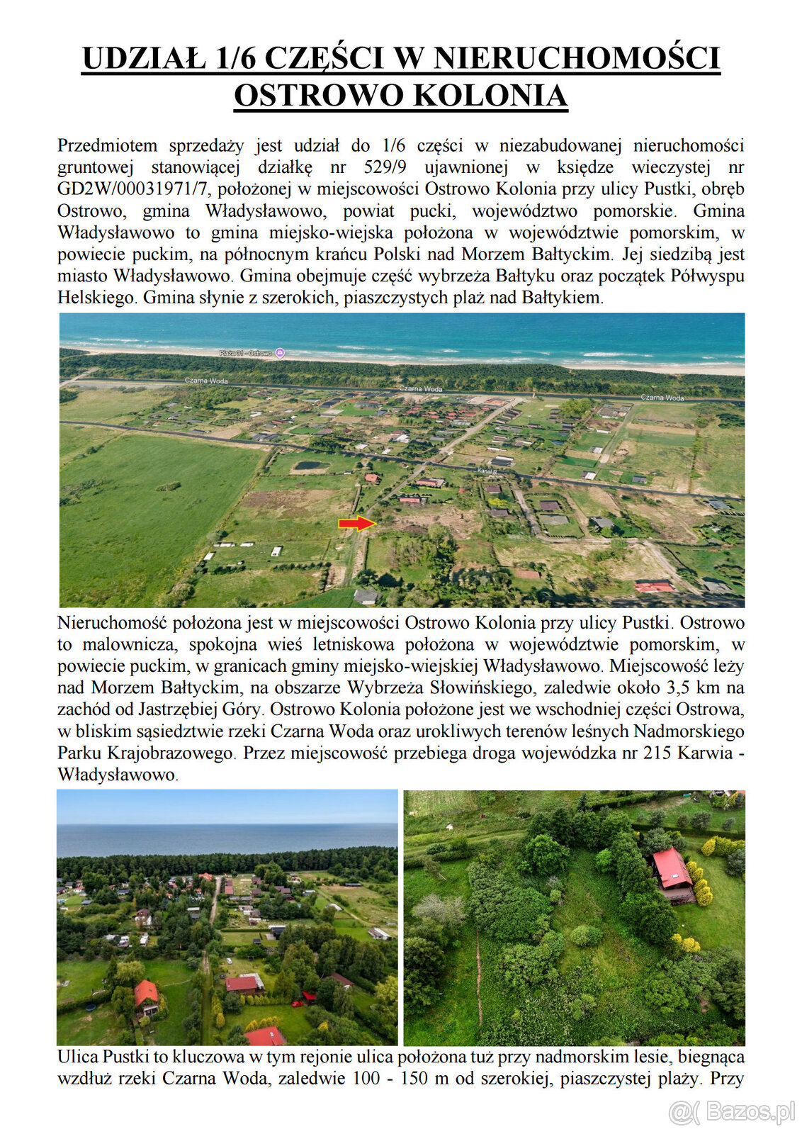 Syndyk sprzeda działkę Ostrowo Kolonia - 2