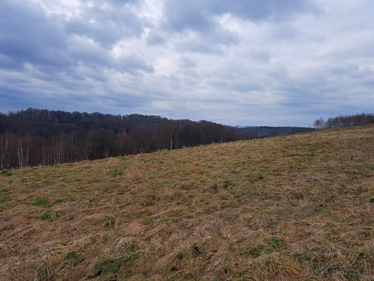 Wola Lubecka działka budowlano-rolna 1,20 ha , WZ - 2