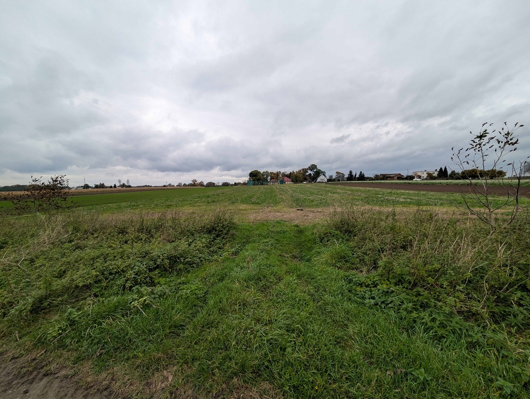 Działka rolna o powierzchni 4293m², Strzałków, gm. Lisków - 2