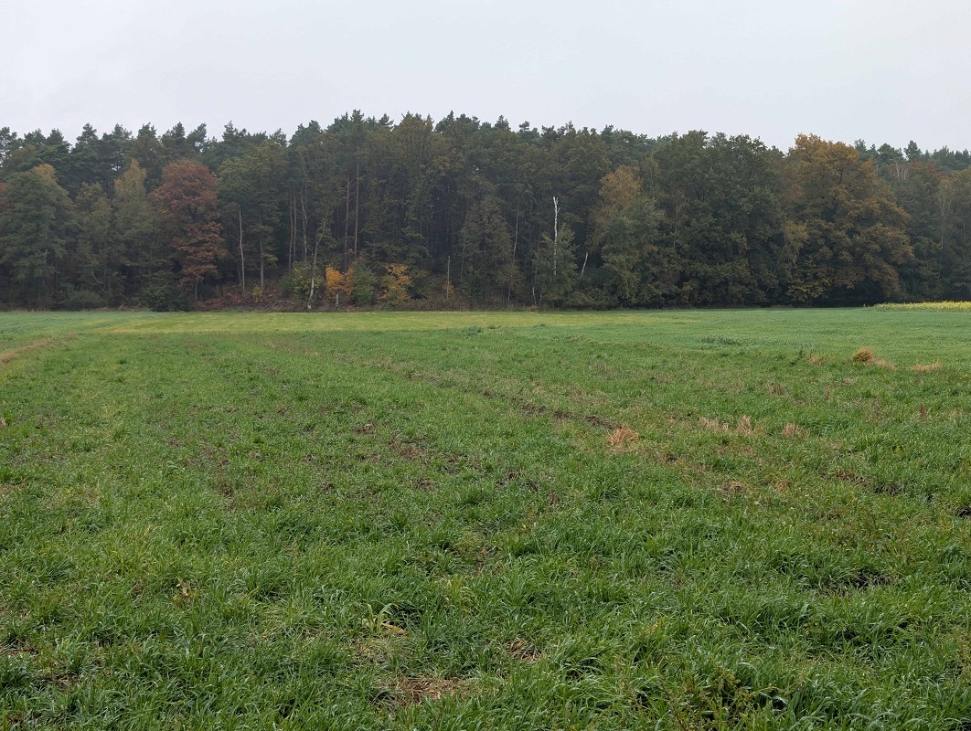 Działka rolna o powierzchni 1700m², Chrusty, gm. Lisków - 2