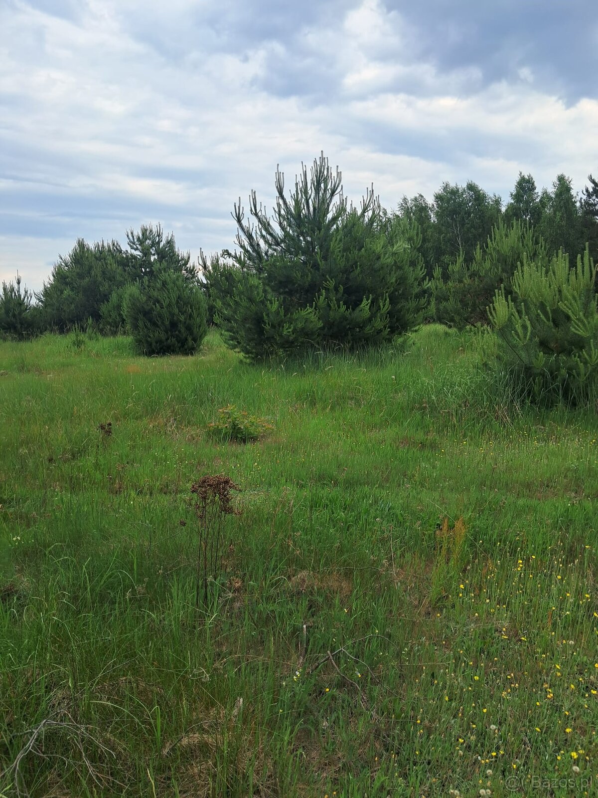 Działki budowlane w Planie ogólnym, 1040m2, Młynisko, gm. Ko - 2