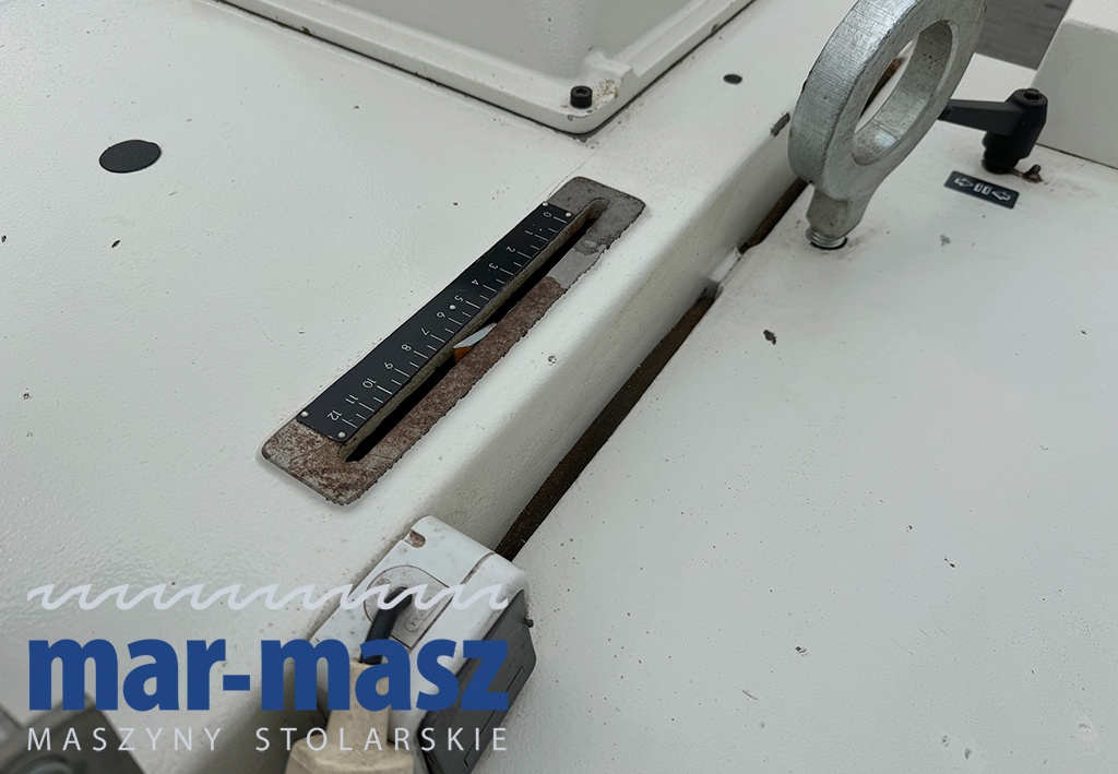 Wielopiła gąsienicowa automatyczna SCM M3 do obróbki drewna - 20