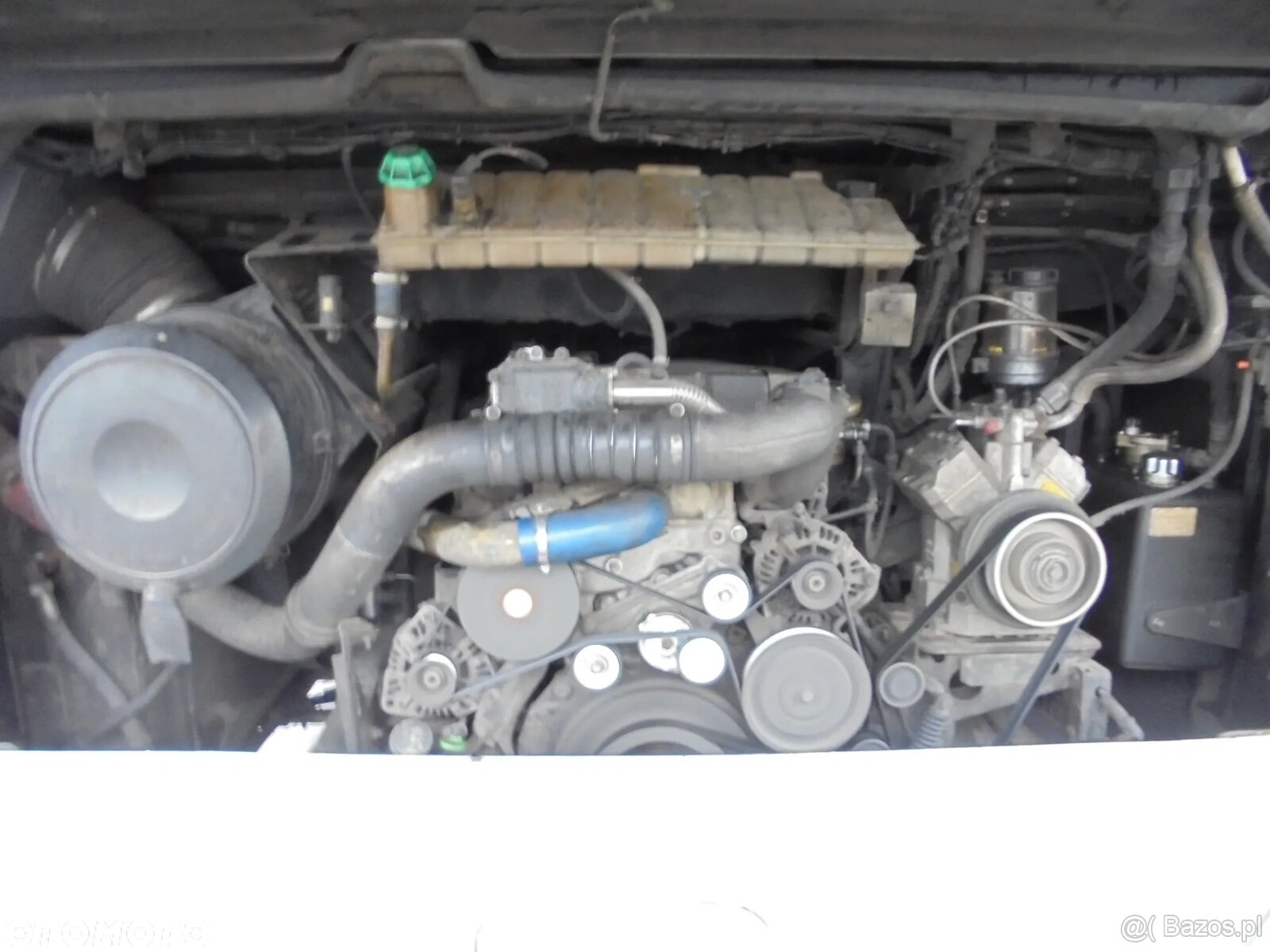 MAN R07 Lions Coach - 20