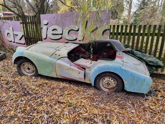 Volkswagen Ogórek, Rolls Royce, Mustang, Volvo, Triumph - 20