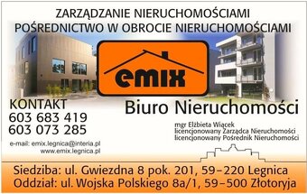 Dom w Niedaszowie k. Jawora, dwa garaże, działka 2692m2 - 20
