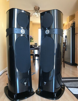 Focal Sopra 3 ( Price: 6000 EUR ) - 2