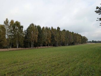Działki rolne o powierzchni 2581m2, 3088m², Strzałków - 2