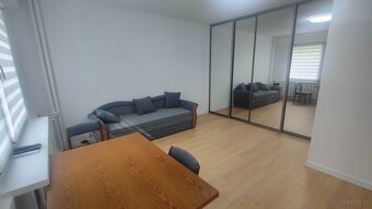 jednopkojowe mieszkanie do wynajęcia - 2