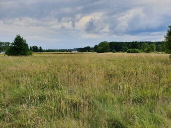 Działka Rolno-Rekreacyjna 3000m2 przy Puszczy Bolimowskiej - 2