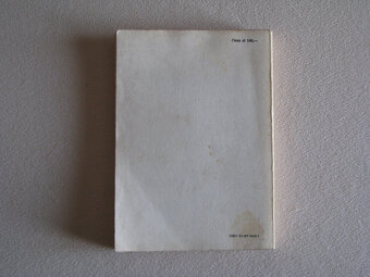 Przygody Hucka, Mark Twain - 2