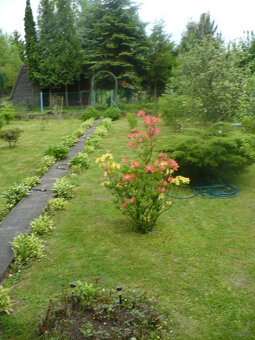 Sprzedam - 2