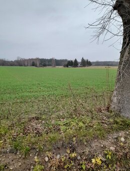 Działka rolno - budowlana niedaleko Widawy - 2