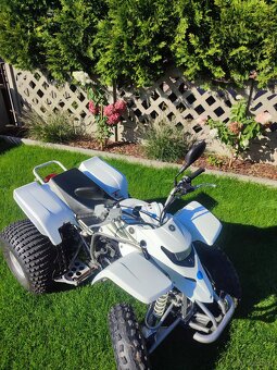 Yamaha Blaster 200 2T - 2