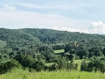 Działki leśne w Lipnicy Dolnej - 6 hektarów - 2