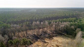 Działka z wydanymi warunkami 120 zł/m2 las jezioro - 2