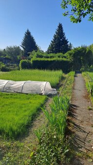 Sprzedam dzialke ROD - 2