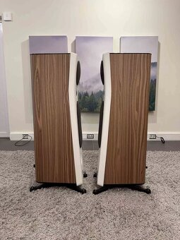 Focal Kanta 2 ( Price: 2500 EUR ) - 2