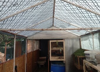 Szklarnia szklarnia ogrodowa  do negocjacji - 2