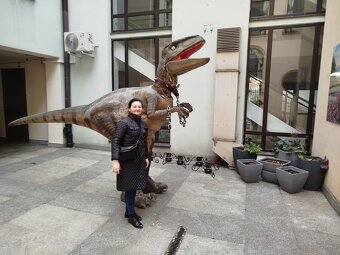 Sprzedam Dinozaura Raptor - 2