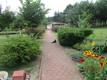Wynajmę domek na Jurze Krakowsko Częstochowskiej - 2