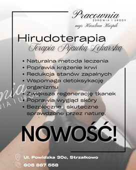 Pijawki Lekarskie Hirudoterapia - 2