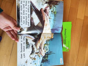 Complete Red Rocket Readers Set 318 Books | Kids English - 2