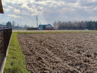 Działka w Pierszycach - 2