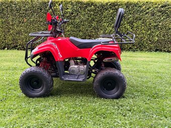 Quad 125 ccm 2018 - 2