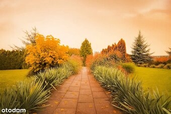 Parterowy dom koło Pabianic, Fotowoltaika, Solary, Smart - 2