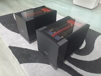 Brinkmann Audio Monos --- Price: 3500 EUR - 2
