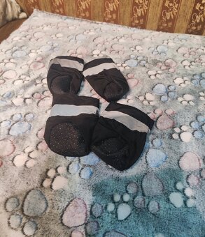 Buty dla psa do 9kg 3XL + kocyk polarowy w łapki - 2