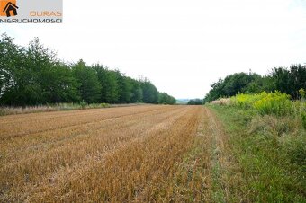 Śmigno działka budowlana 10 ar - 2