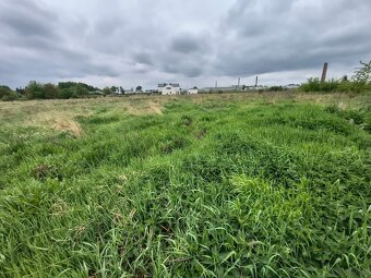 Działki budowlane z wydanymi warunkami zabudowy–Wojciechówka - 2