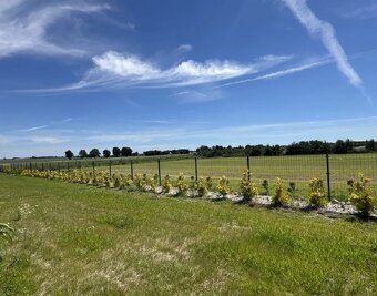 Działka rolna z warunkami zabudowy o pow. 3001 m2, Żelazków - 2