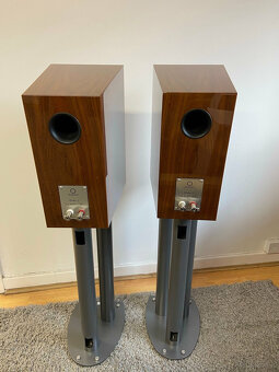 Marten Duke 2  --- Price: 2000 EUR - 2