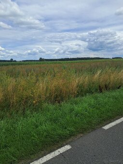 Działki budowlane z bezterminowymi warunkami zabudowy – Zbor - 2