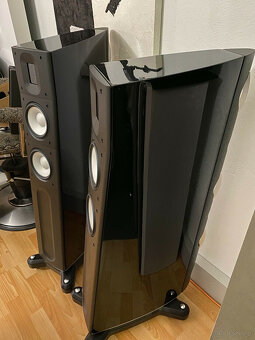 RAIDHO ACOUSTICS C2.2  ( Price: 4500 EUR ) - 2